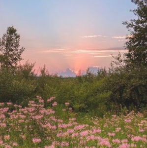 Meet your Posher, Ashlee